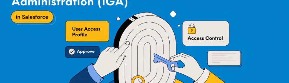 Identity Governance and Administration in Salesforce: A Practical Guide